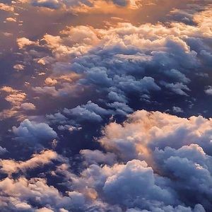 Meet your Posher, Sienna